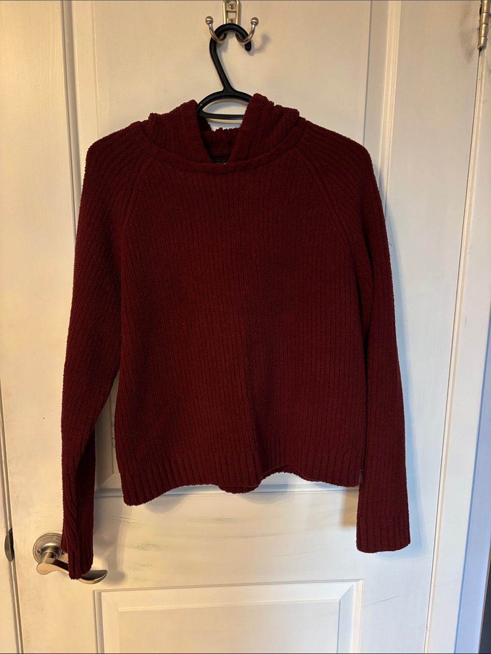 Roots Chenille Hoodie